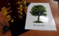 12.11.2019_ Warsztaty dla przedszkolaków - drzewa