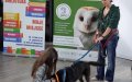 8.05.2024 Warsztaty z Fundacją PERUNA w bibliotece w Jerzmanowicach -"Bezpieczny pies - bezpieczne dziecko"owy folder