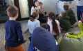 IMG-20250120-WA0005