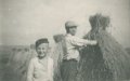 Natanael-106 Prace żniwne w czasie okupacji, w 1942 r. Jako ośmioletni uczeń pomagam starszemu bratu Józefowi, który już należał do AK
