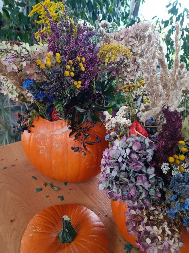 Jesienne warsztaty dniowe 